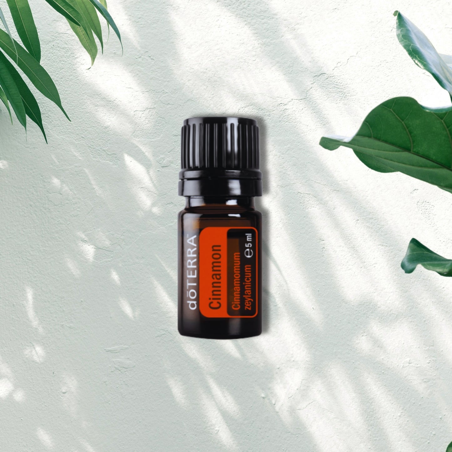 Essential Oil Cinnamon Bark 5ml