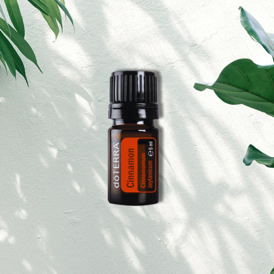 Essential Oil Cinnamon Bark 5ml