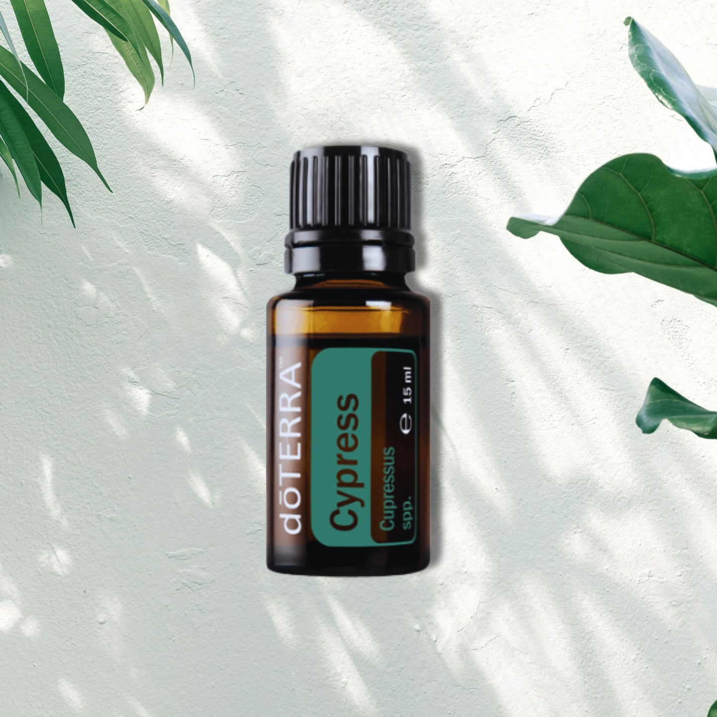 Essential Oil Cypress 15ml