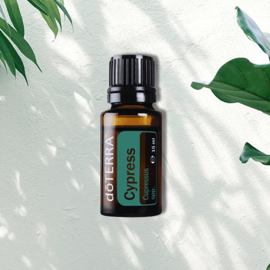 Essential Oil Cypress 15ml