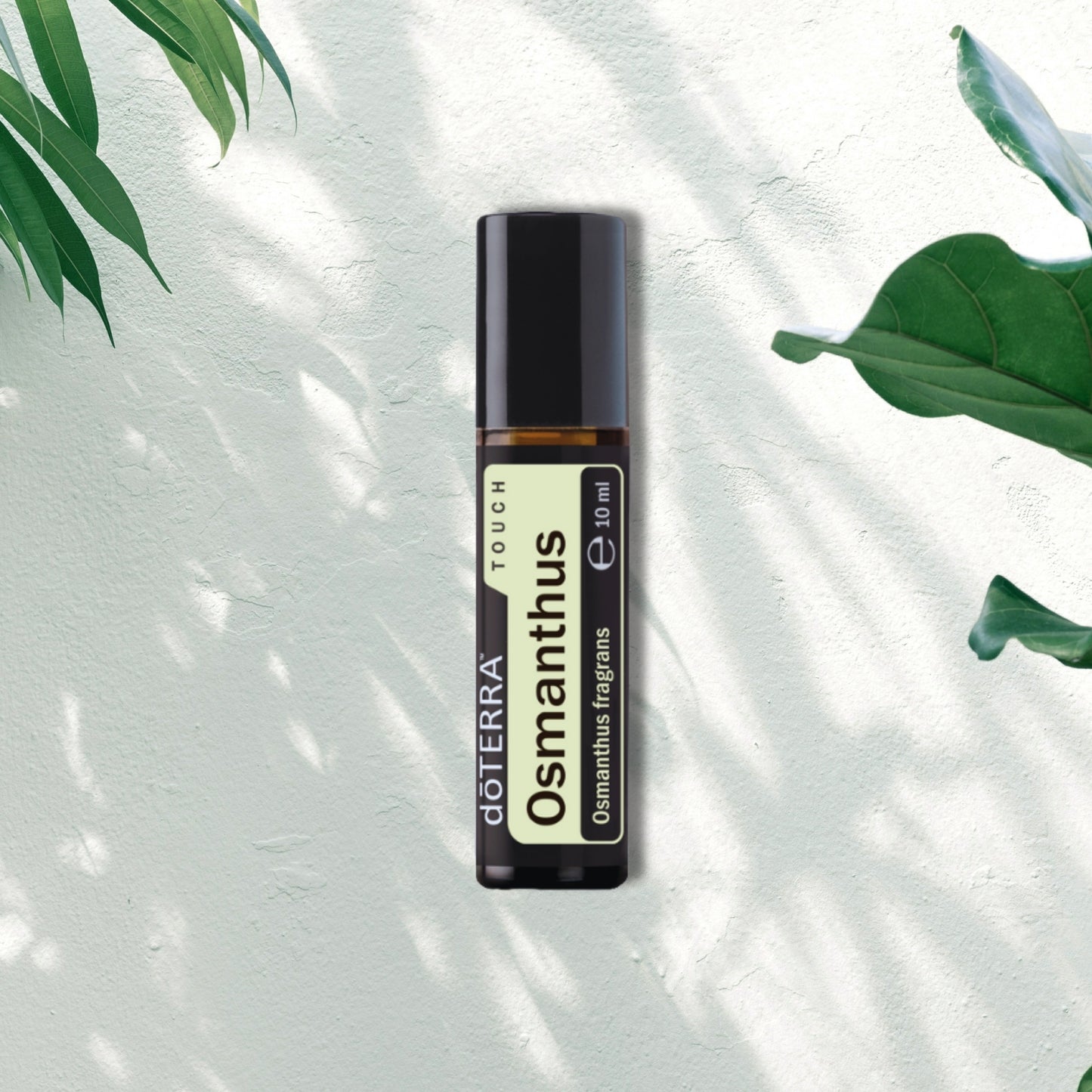 Essential Oil Osmanthus Touch 10ml