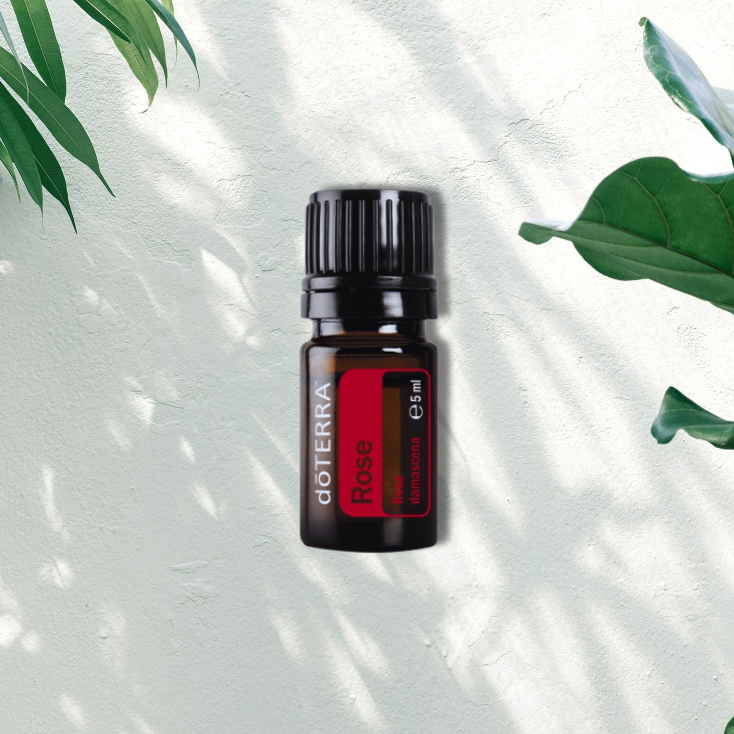 Essential Oil Rose 5ml