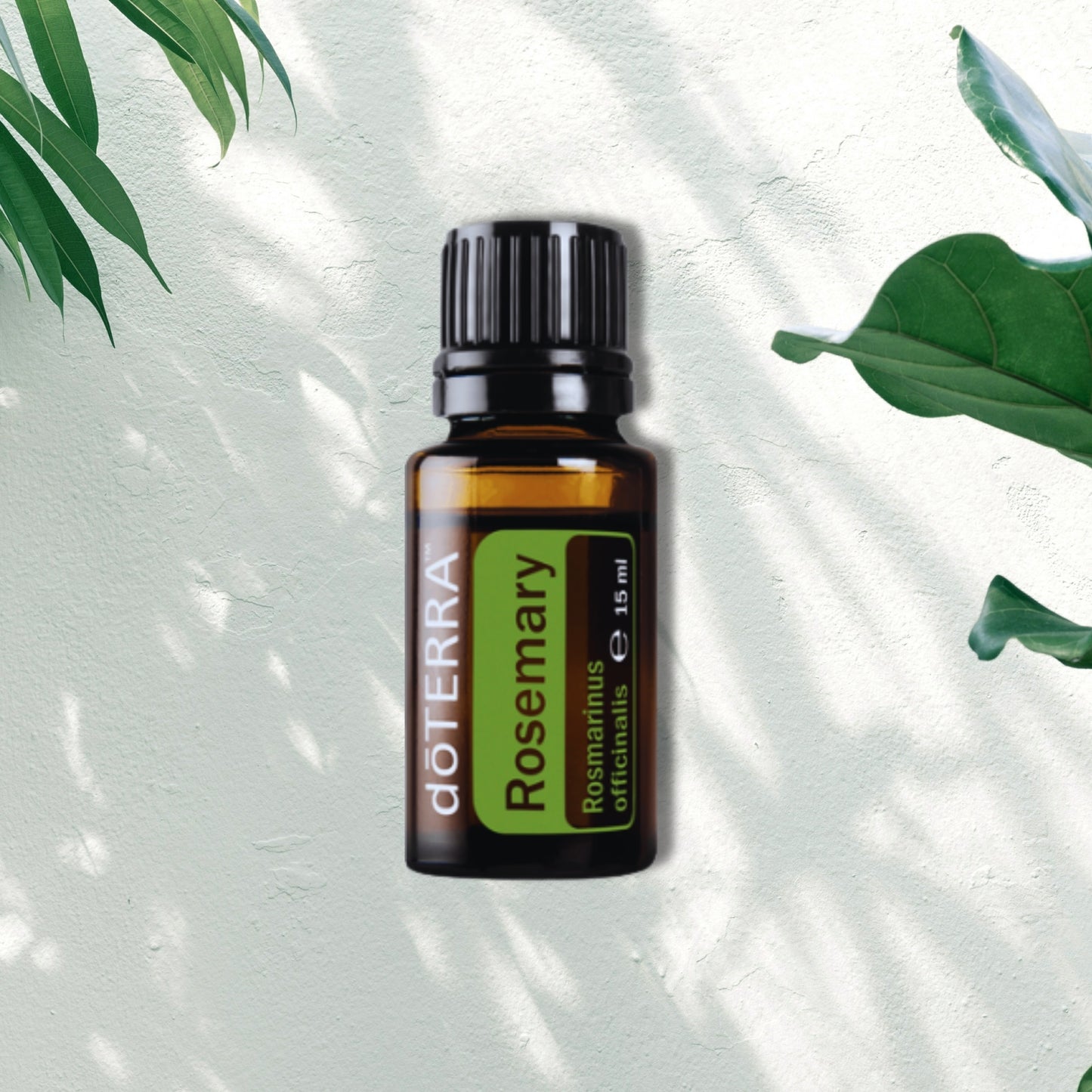 Essential Oil Rosemary 15ml
