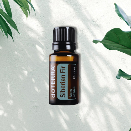 Essential Oil Siberian Fir 15ml