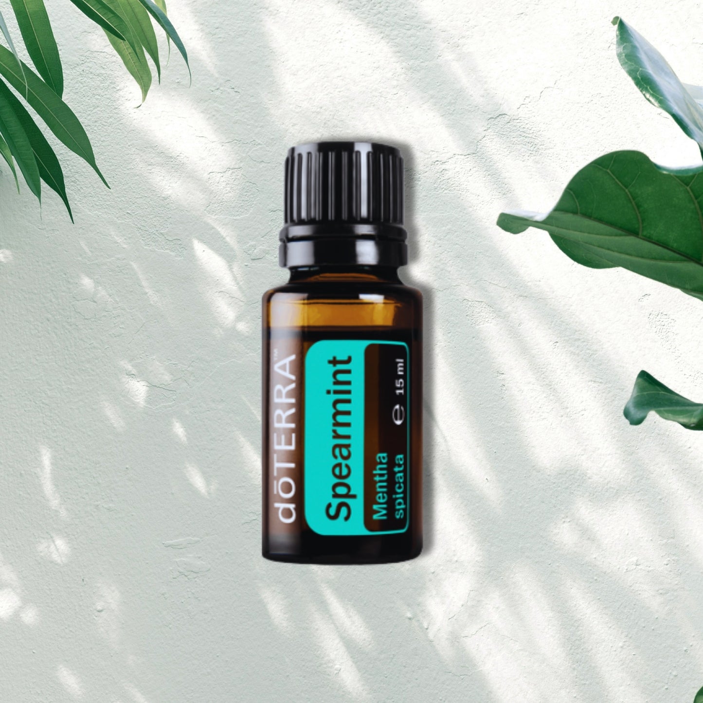 Essential Oil Spearmint 15ml