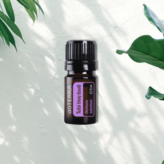 Essential Oil Tulsi (Holy Basil) 5ml