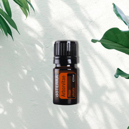 Essential Oil Arborvitae 5ml
