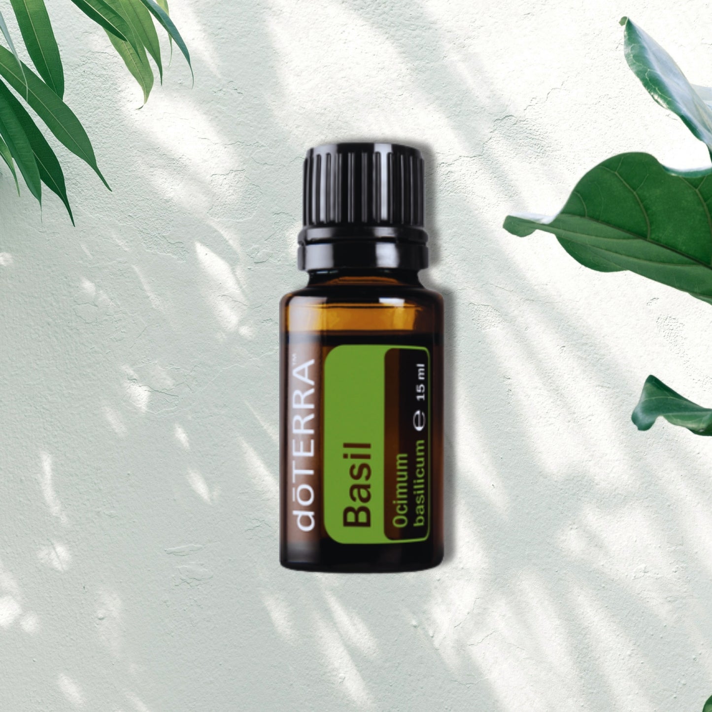 Essential Oil Basil 15ml