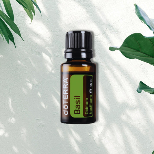 Essential Oil Basil 15ml