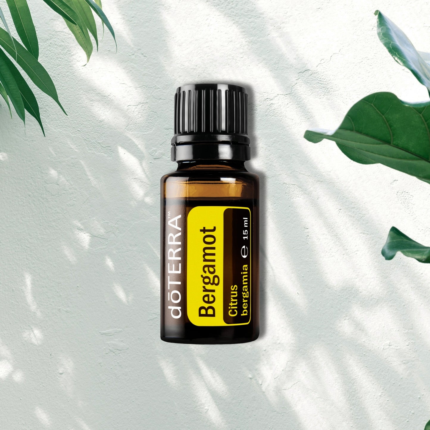 Essential Oil Bergamot 15ml