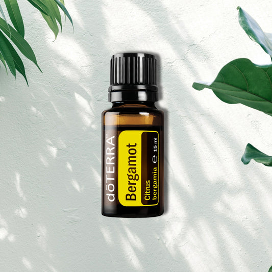 Essential Oil Bergamot 15ml