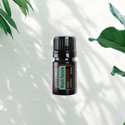 Essential Oil Black Spruce 5ml