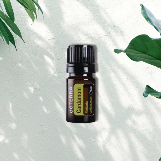 Essential Oil Cardamom 5ml