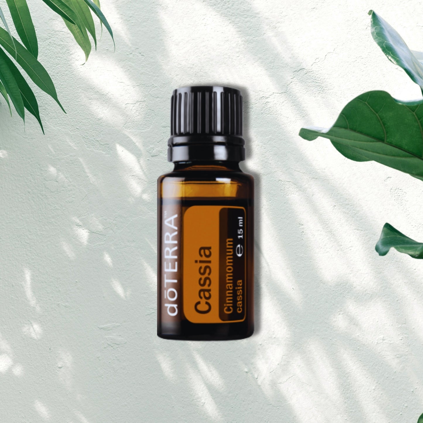 Essential Oil Cassia 15ml
