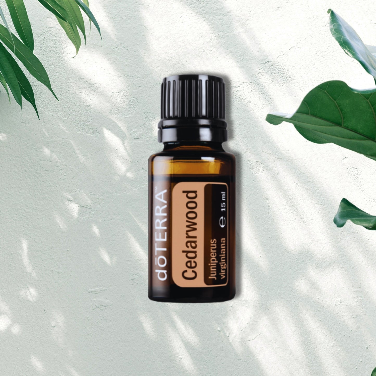 Essential Oil Cedarwood 15ml