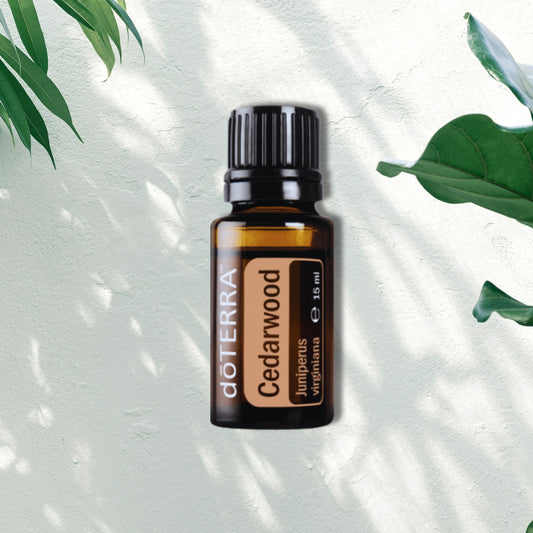 Essential Oil Cedarwood 15ml