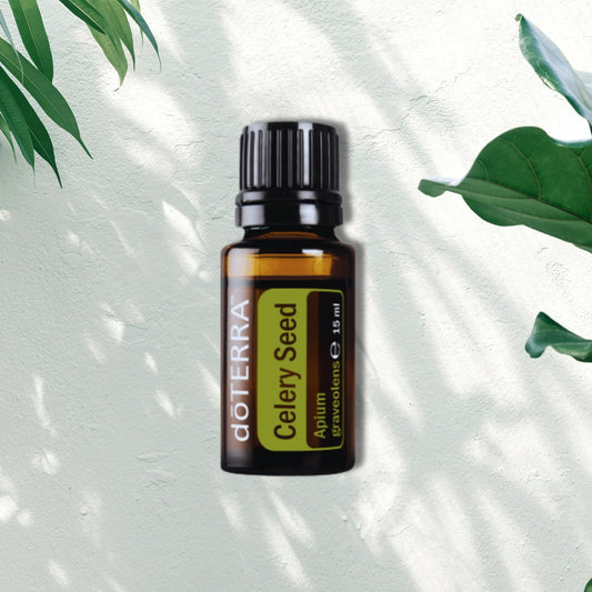 Essential Oil Celery Seed 15ml