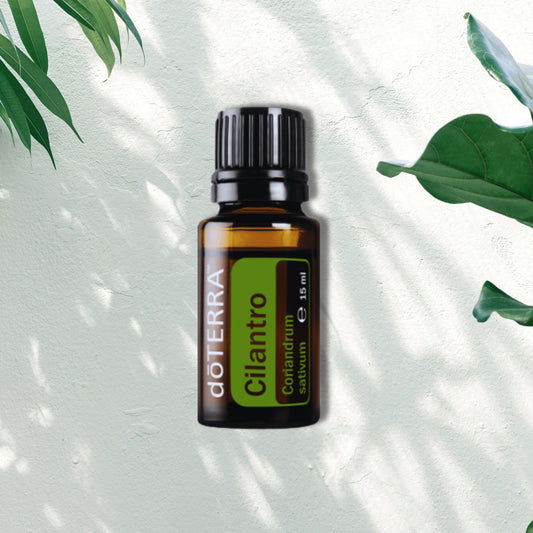 Essential Oil Cilantro 15ml