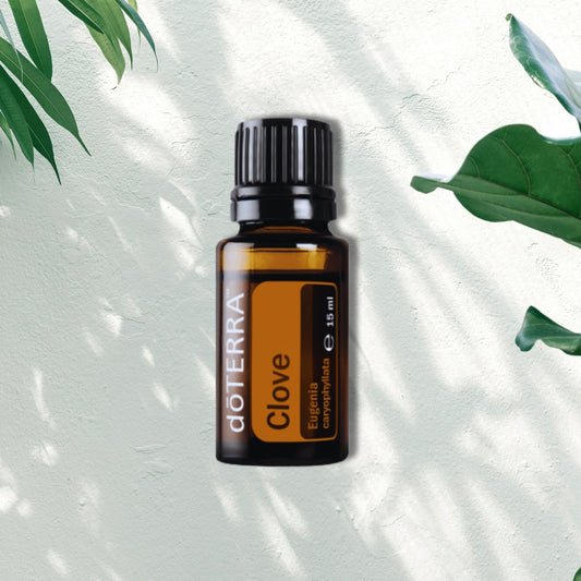 Essential Oil Clove 15ml