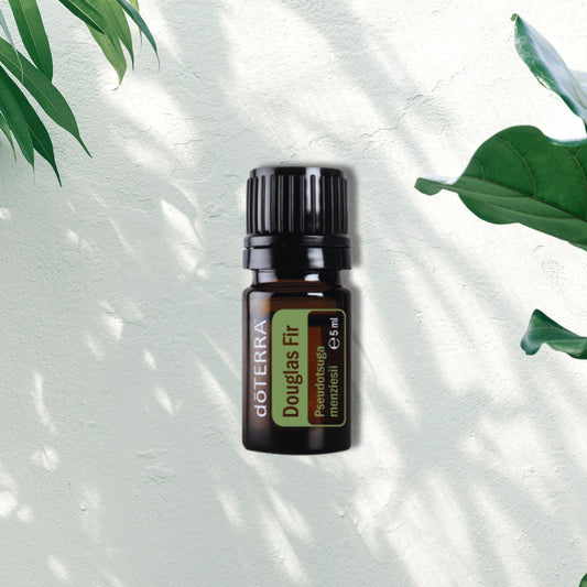 Essential Oil Douglas Fir 5ml