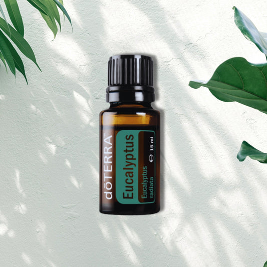 Essential Oil Eucalyptus 15ml