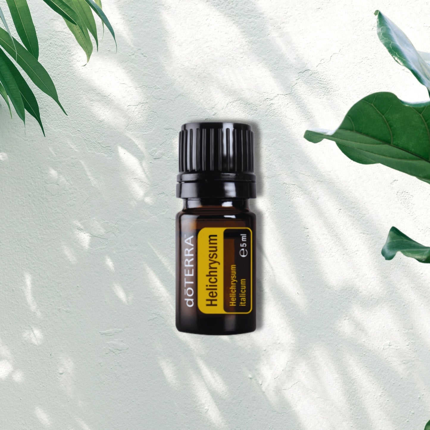 Essential Oil Helichrysum 5ml