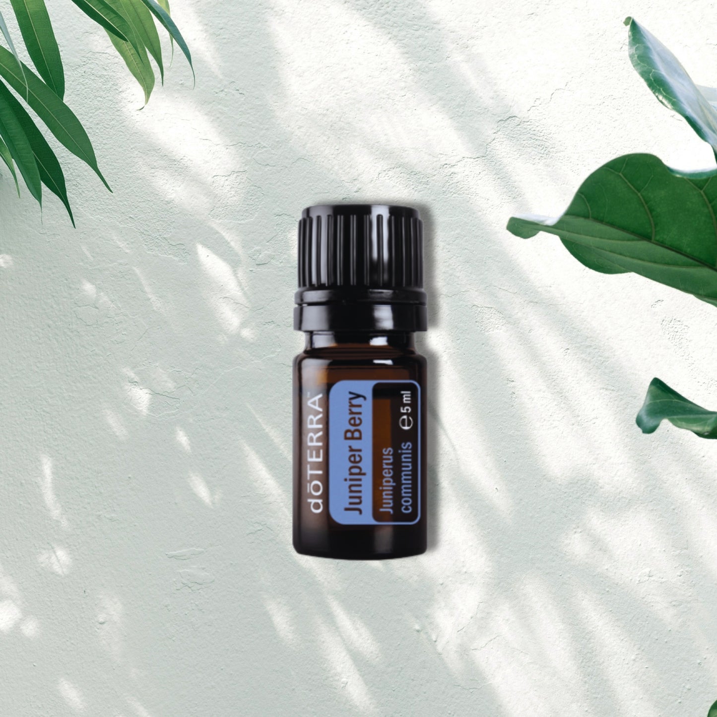 Essential Oil Juniper Berry 5ml