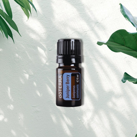 Essential Oil Juniper Berry 5ml