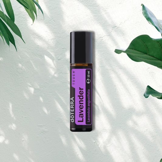 Essential Oil Lavender Touch 10ml