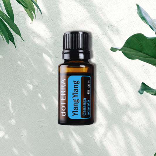 Essential Oil Ylang Ylang 15ml
