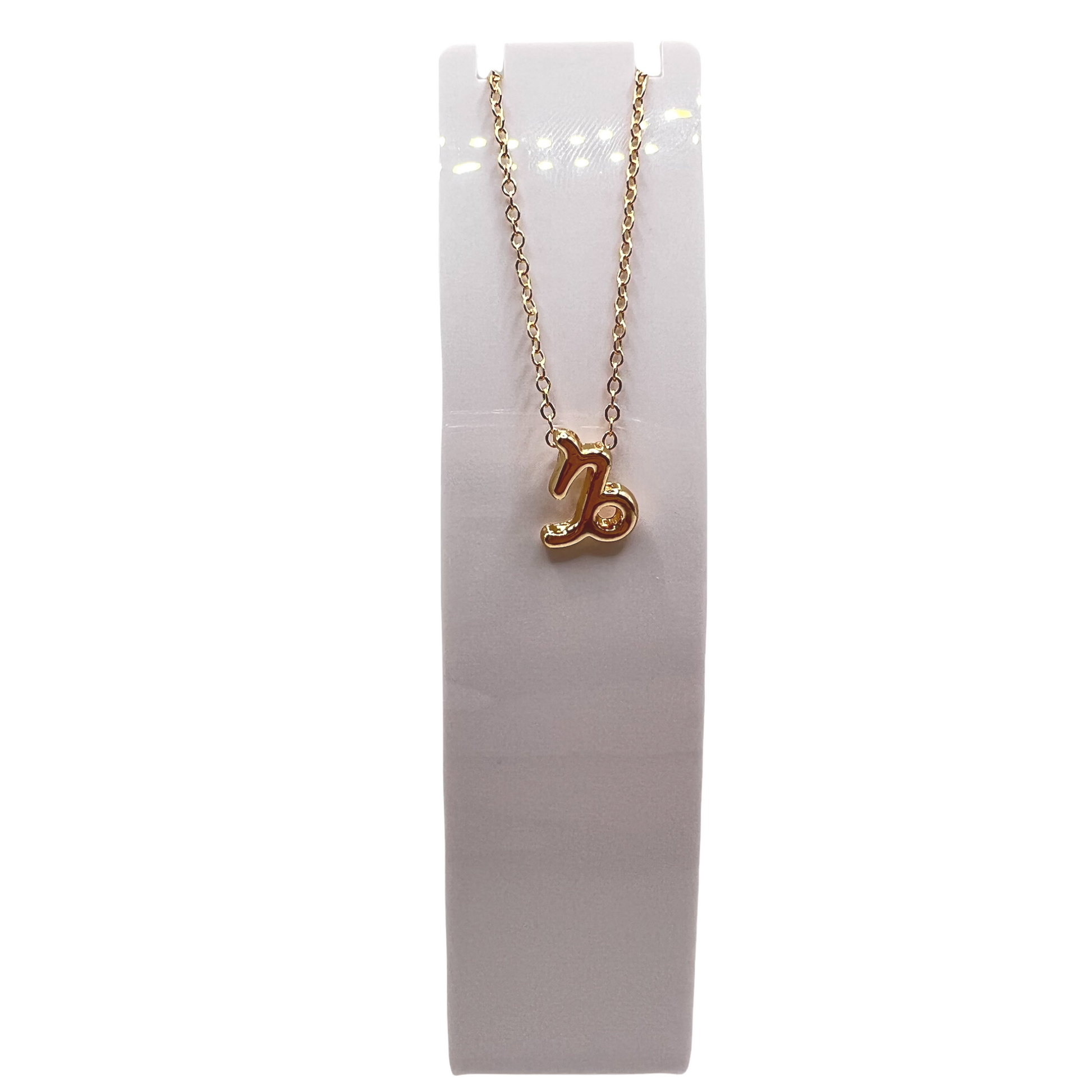 Capricorn Astrology Gold Necklace