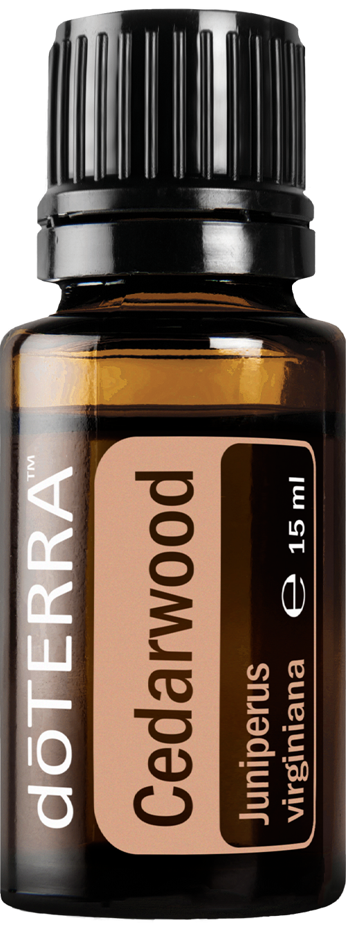 Essential Oil Cedarwood 15ml