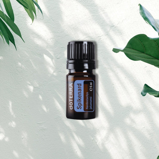 Essential Oil Spikenard 5ml