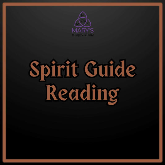 Spirit Guide Reading
