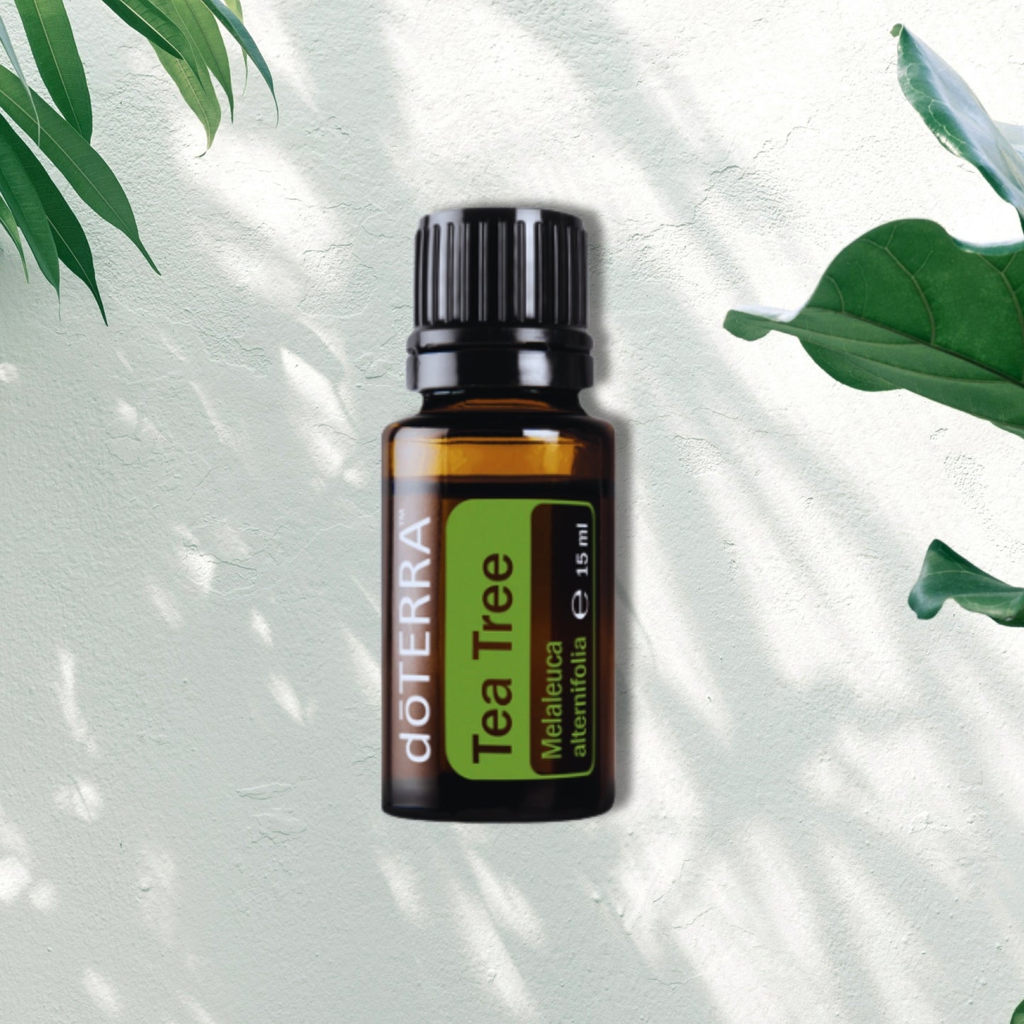 Essential Oil Tea Tree 15ml