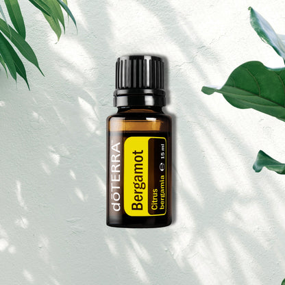 Essential Oil Bergamot 15ml