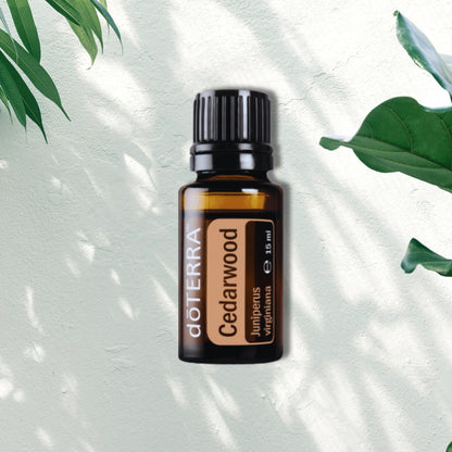 Essential Oil Cedarwood 15ml