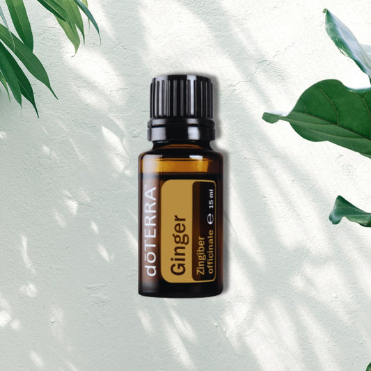 Essential Oil Ginger 15ml