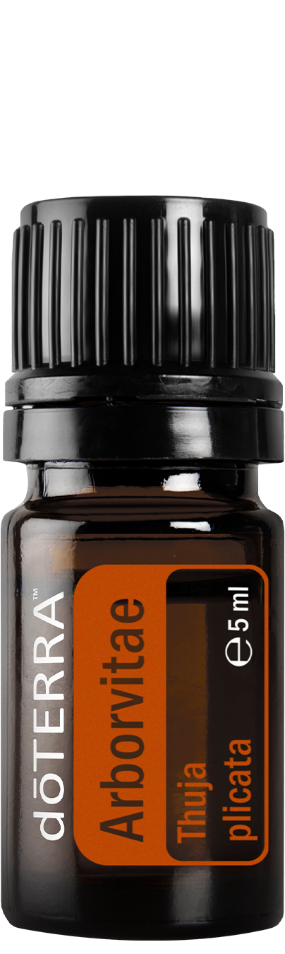 Essential Oil Arborvitae 5ml