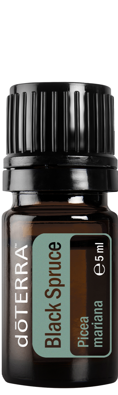 Essential Oil Black Spruce 5ml