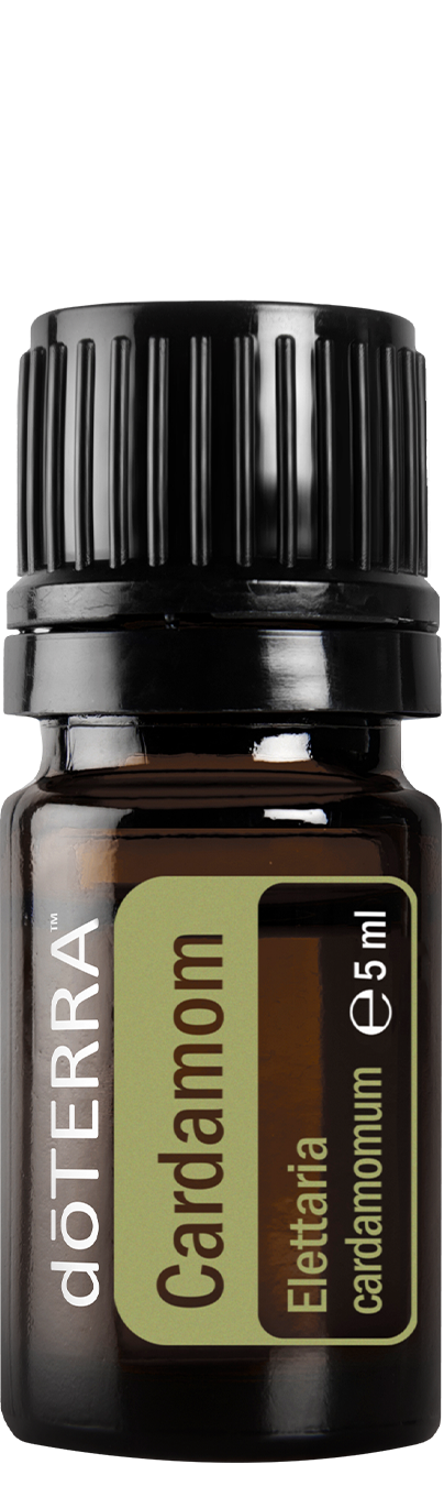 Essential Oil Cardamom 5ml