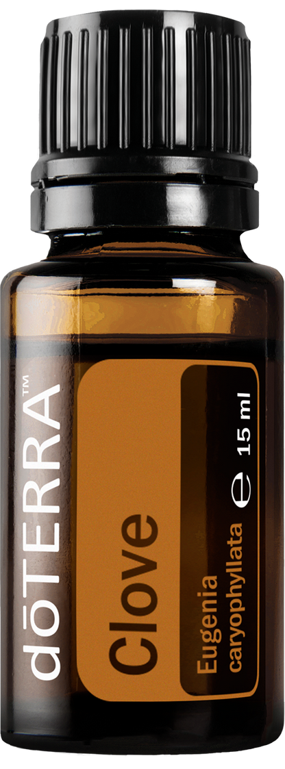 Essential Oil Clove 15ml