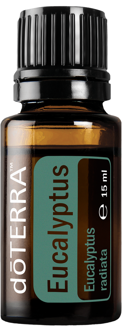 Essential Oil Eucalyptus 15ml