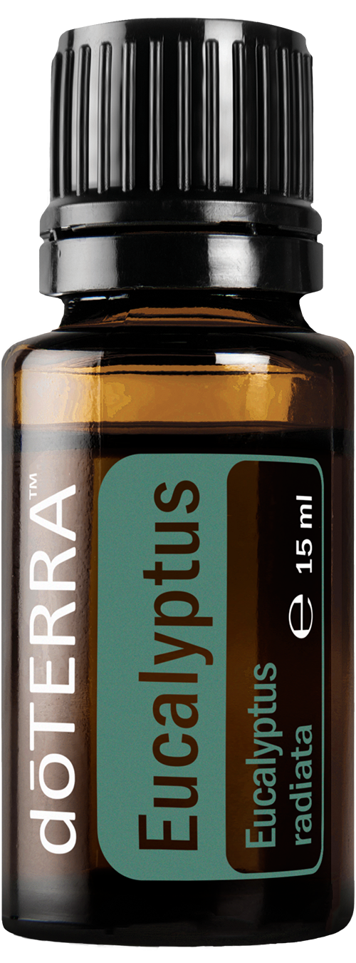 Essential Oil Eucalyptus 15ml