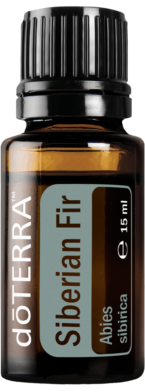 Essential Oil Siberian Fir 15ml