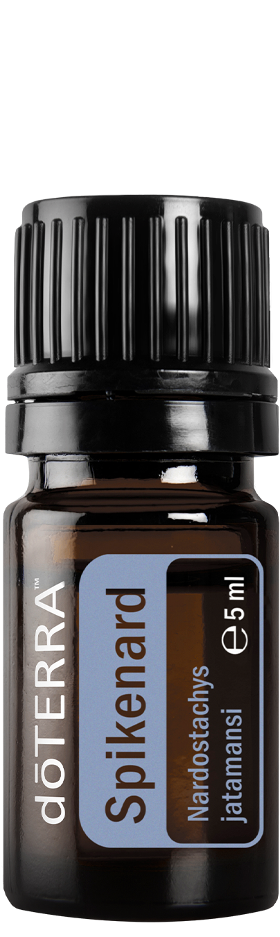 Essential Oil Spikenard 5ml