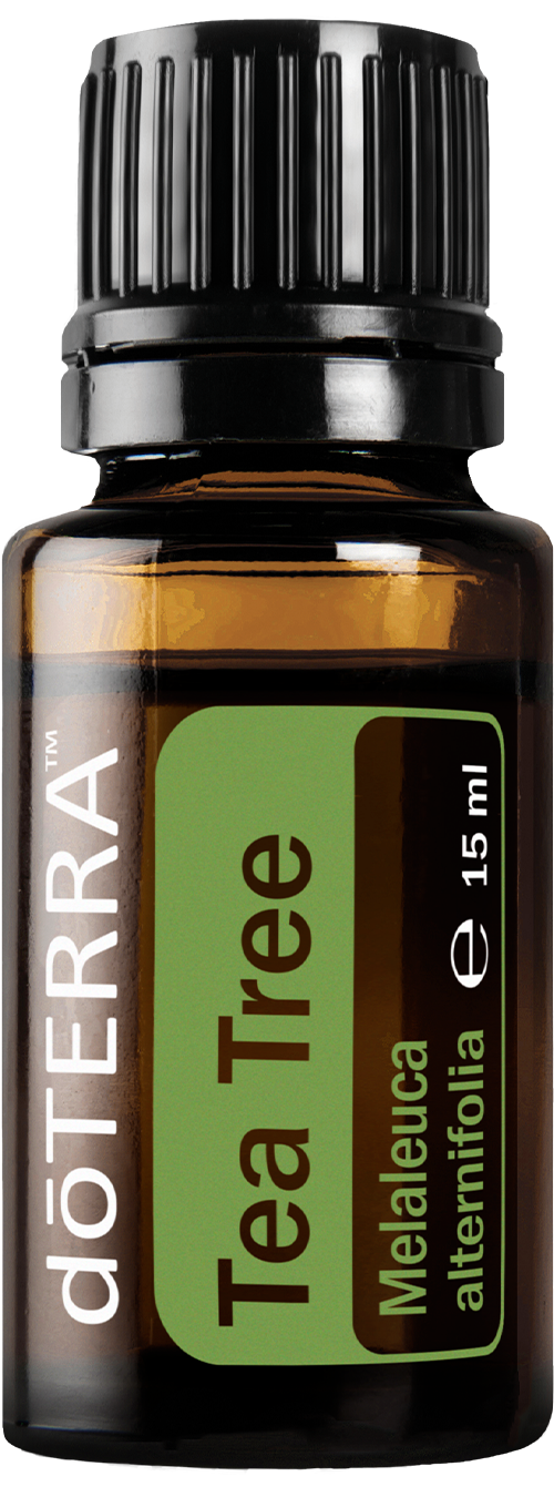 Essential Oil Tea Tree 15ml